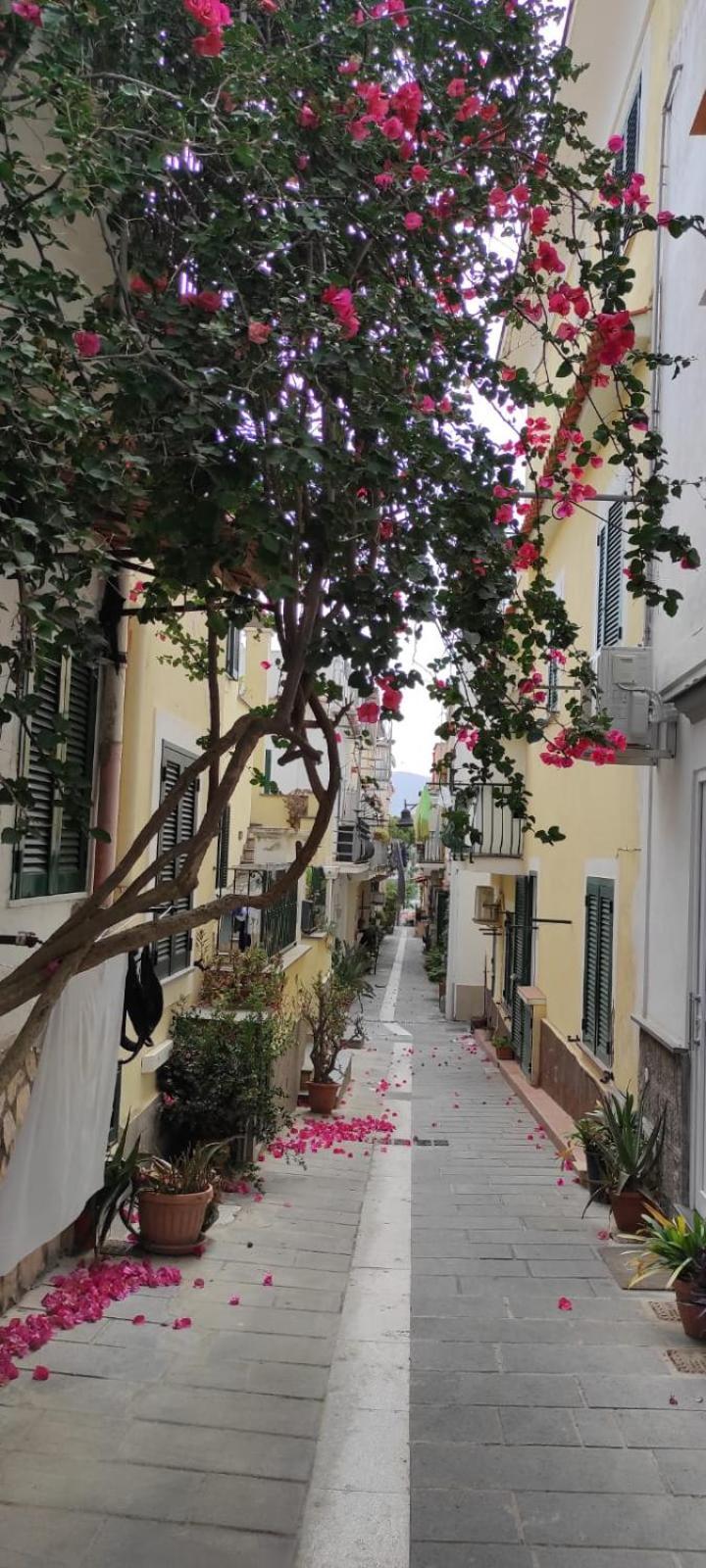 La Casa Rosa Di Giulia Ischia Exterior foto