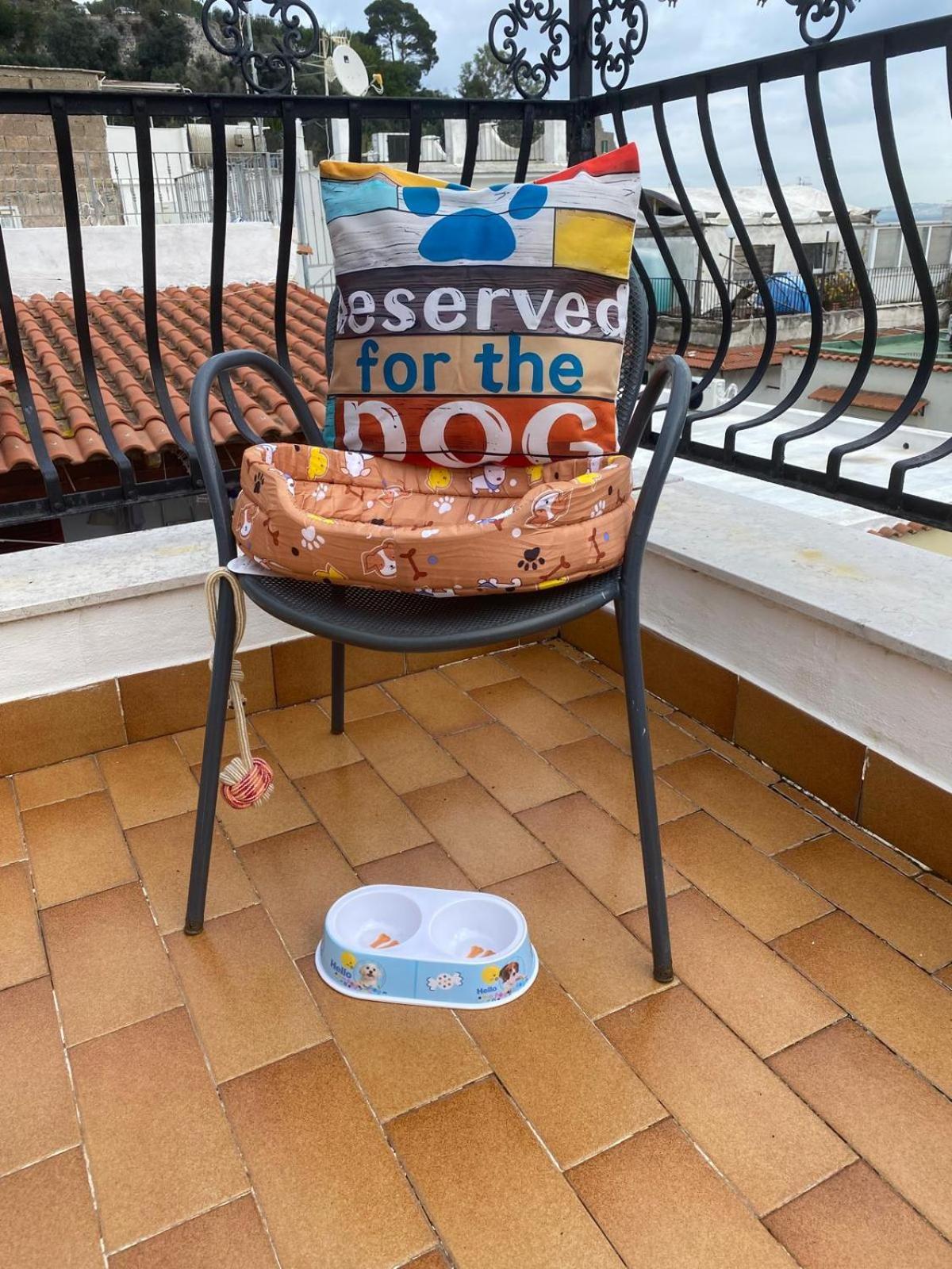 La Casa Rosa Di Giulia Ischia Exterior foto